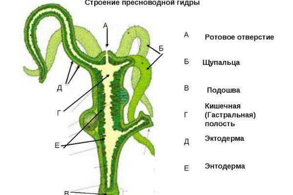 Кракен маркетплейс ассортимент